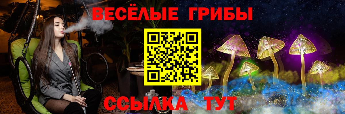 Севастополь  Галлюциногенные грибы Cubensis  Вход с VPN  Галлюциногенные грибы прущие грибы 